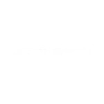 White Logo MotionSystem