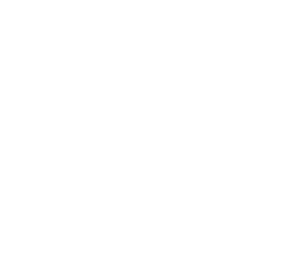 White Logo MotionSystem