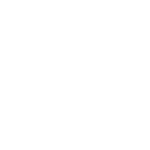 Illustrations Underside 50